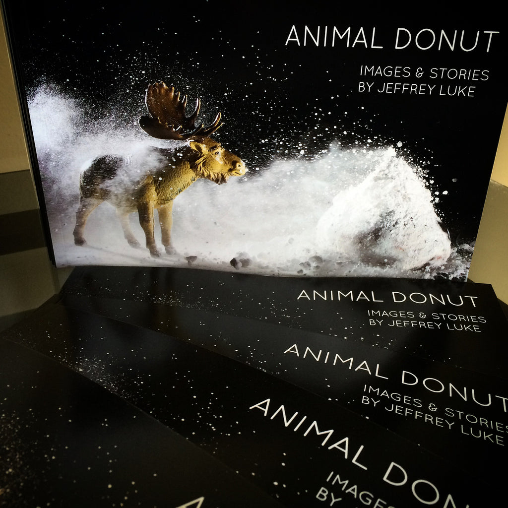 Animal Donut Mini Book