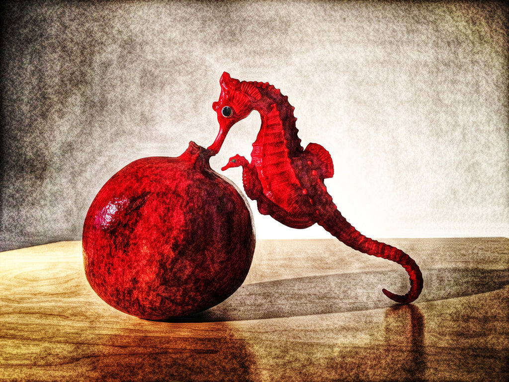 Pomegranate Seahorse